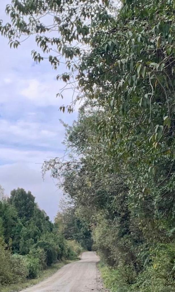 2,63 hectáreas 100 metros Orilla Lago Colico