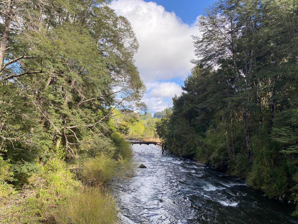 6,25 Hectáreas con Orilla Río Huichahue.