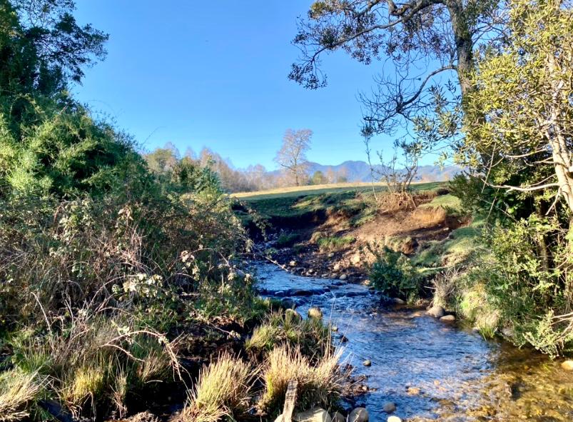 20 Hectáreas Agricolas con Estero en Quechurehue