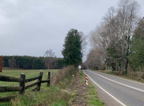 144 Hectáreas Agricolas. Orilla Ruta  S-51 Cunco a Temuco